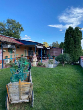Hotels in Oblast Widin